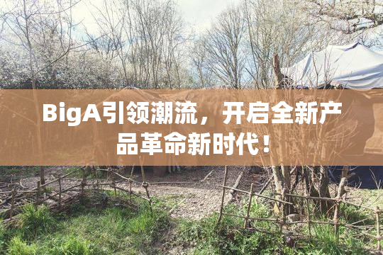BigA引领潮流，开启全新产品革命新时代！