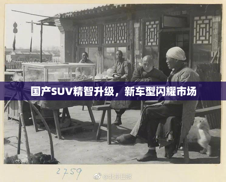 国产SUV精智升级，新车型闪耀市场