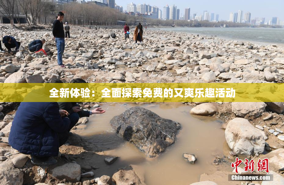 全新体验：全面探索免费的又爽乐趣活动