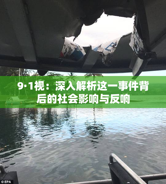 9·1视：深入解析这一事件背后的社会影响与反响