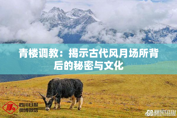 青楼调教：揭示古代风月场所背后的秘密与文化