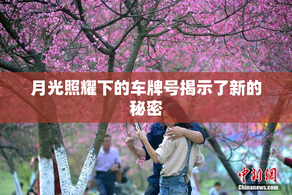 月光照耀下的车牌号揭示了新的秘密