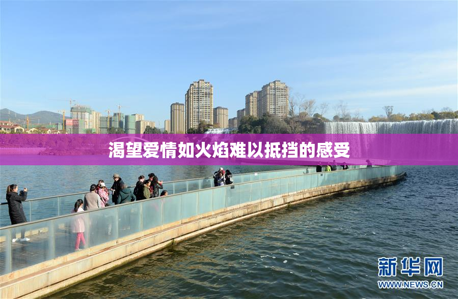 渴望爱情如火焰难以抵挡的感受
