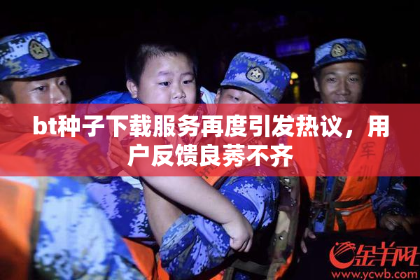 bt种子下载服务再度引发热议，用户反馈良莠不齐