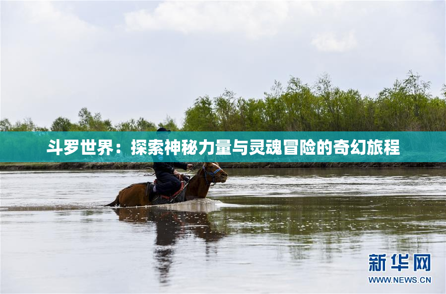 斗罗世界：探索神秘力量与灵魂冒险的奇幻旅程