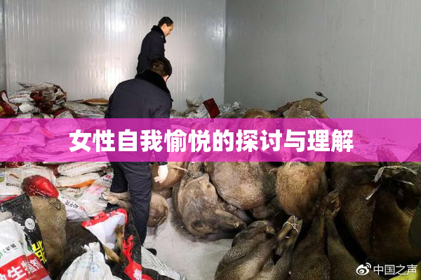 女性自我愉悦的探讨与理解