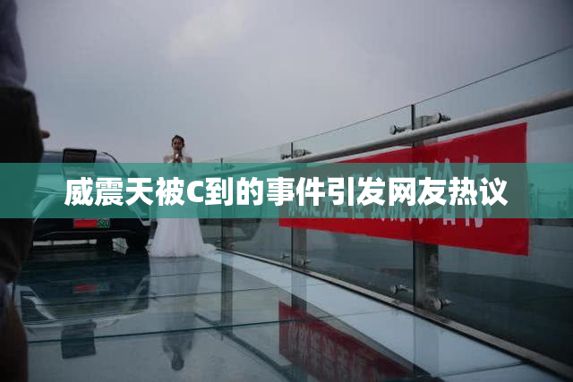 威震天被C到的事件引发网友热议