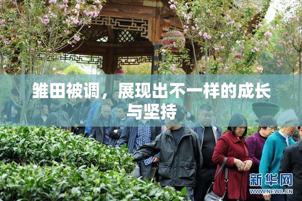 雏田被调，展现出不一样的成长与坚持