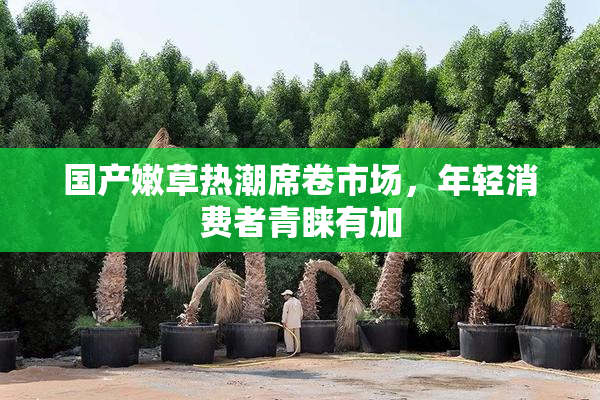 国产嫩草热潮席卷市场，年轻消费者青睐有加