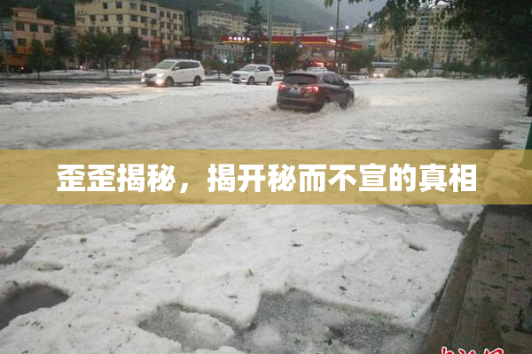 歪歪揭秘，揭开秘而不宣的真相
