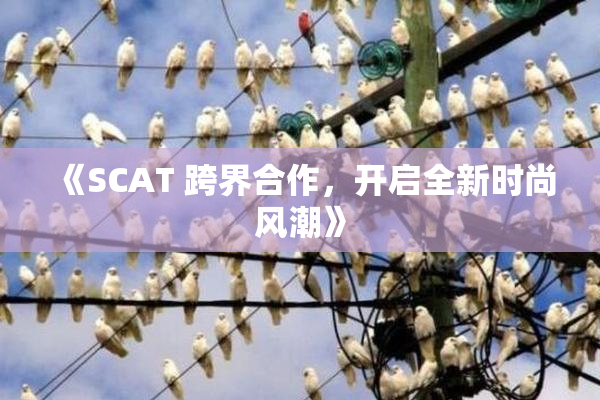《SCAT 跨界合作，开启全新时尚风潮》