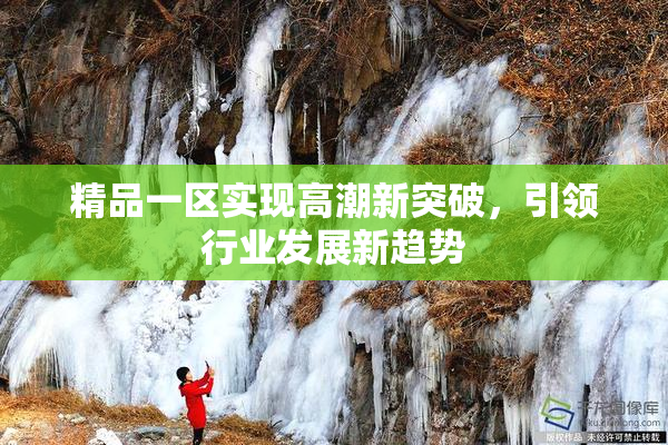 精品一区实现高潮新突破，引领行业发展新趋势
