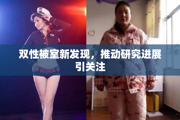 双性被室新发现，推动研究进展引关注