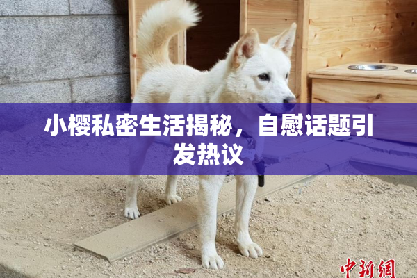 小樱私密生活揭秘，自慰话题引发热议