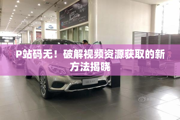 P站码无！破解视频资源获取的新方法揭晓