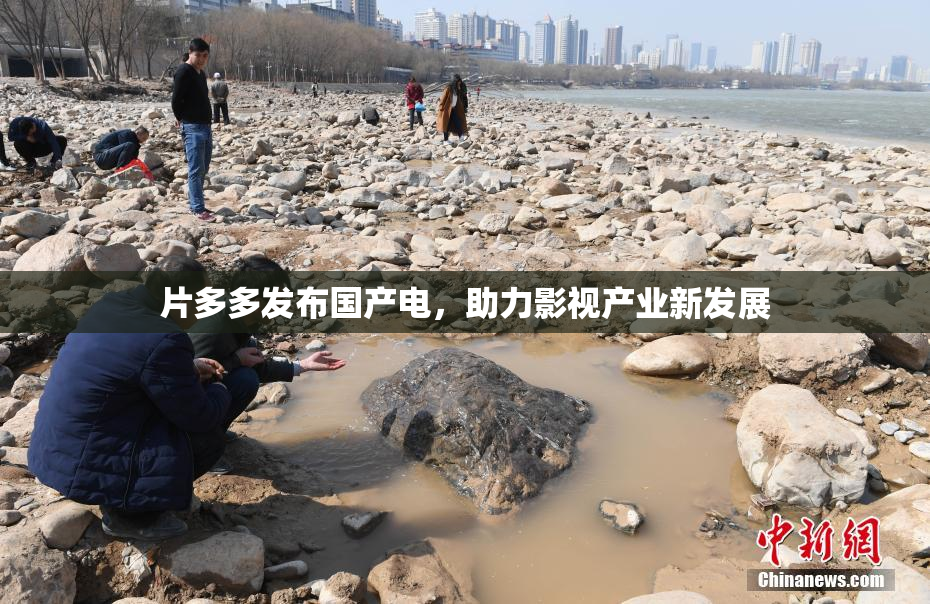 片多多发布国产电，助力影视产业新发展