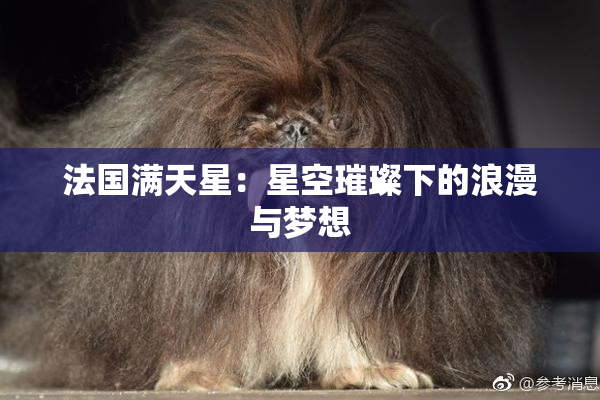 法国满天星：星空璀璨下的浪漫与梦想