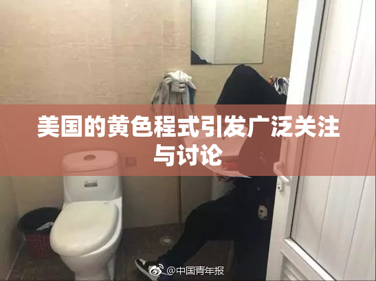 美国的黄色程式引发广泛关注与讨论