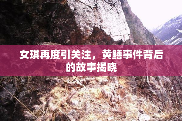 女琪再度引关注，黄鳝事件背后的故事揭晓