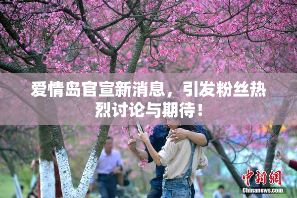 爱情岛官宣新消息，引发粉丝热烈讨论与期待！
