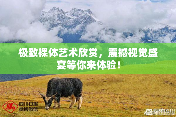 极致裸体艺术欣赏，震撼视觉盛宴等你来体验！