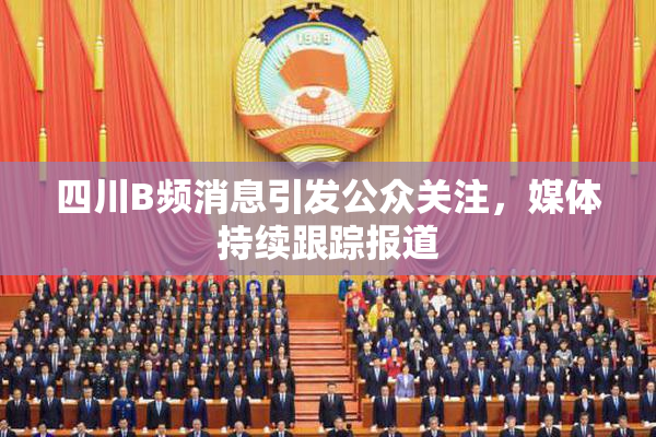 四川B频消息引发公众关注，媒体持续跟踪报道