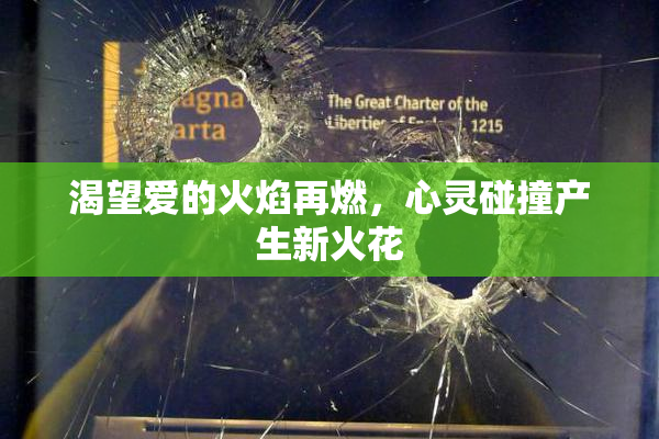 渴望爱的火焰再燃，心灵碰撞产生新火花