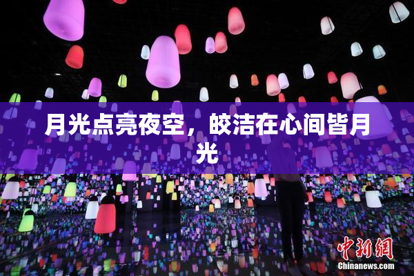 月光点亮夜空，皎洁在心间皆月光