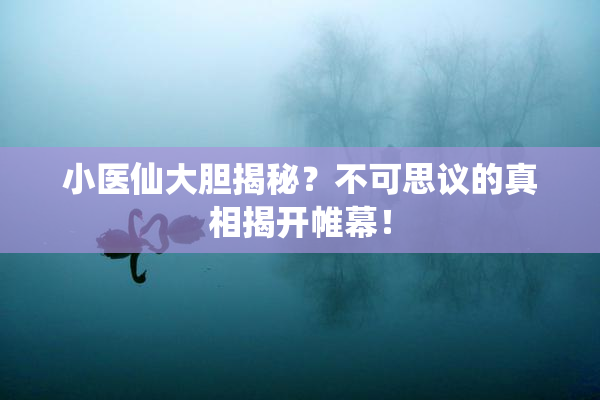 小医仙大胆揭秘？不可思议的真相揭开帷幕！
