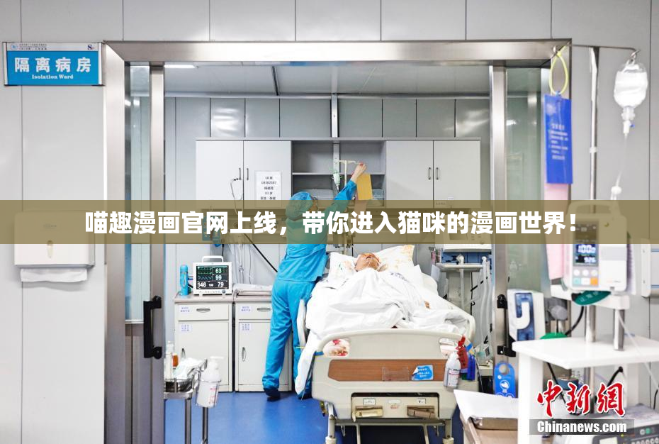 喵趣漫画官网上线，带你进入猫咪的漫画世界！