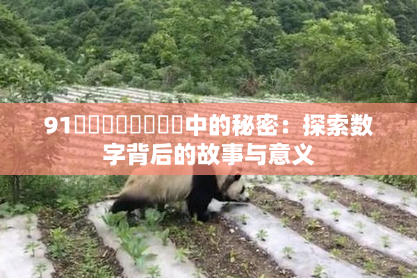91❌‌❌‌❌‌❌‌中的秘密：探索数字背后的故事与意义