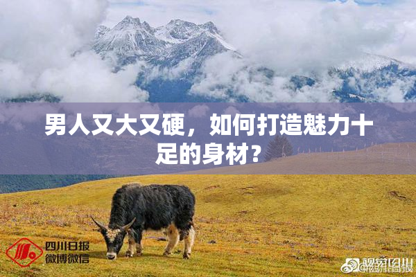 男人又大又硬，如何打造魅力十足的身材？
