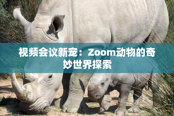 视频会议新宠：Zoom动物的奇妙世界探索