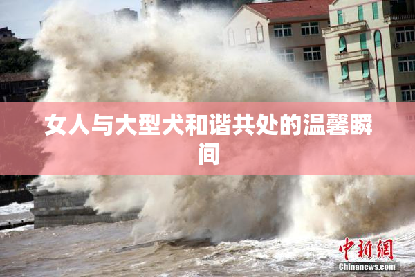 女人与大型犬和谐共处的温馨瞬间