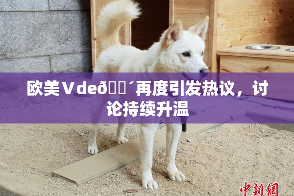 欧美Ⅴde🔴再度引发热议，讨论持续升温