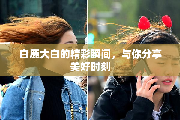 白鹿大白的精彩瞬间，与你分享美好时刻