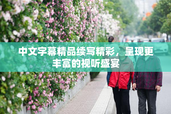中文字幕精品续写精彩，呈现更丰富的视听盛宴