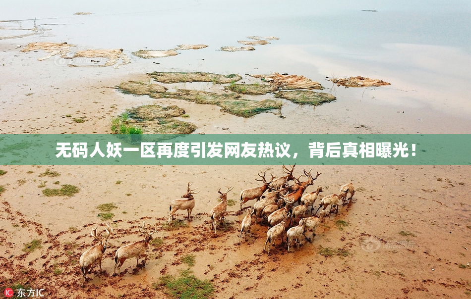 无码人妖一区再度引发网友热议，背后真相曝光！