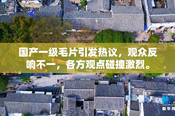 国产一级毛片引发热议，观众反响不一，各方观点碰撞激烈。