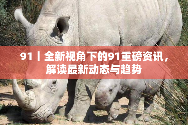 91丨全新视角下的91重磅资讯，解读最新动态与趋势