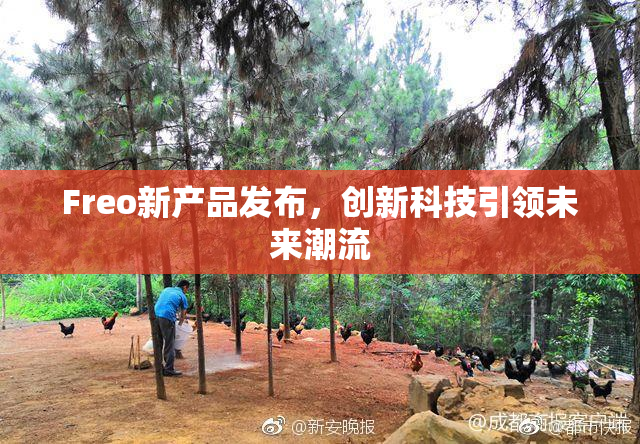 Freo新产品发布，创新科技引领未来潮流