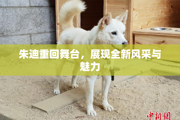 朱迪重回舞台，展现全新风采与魅力