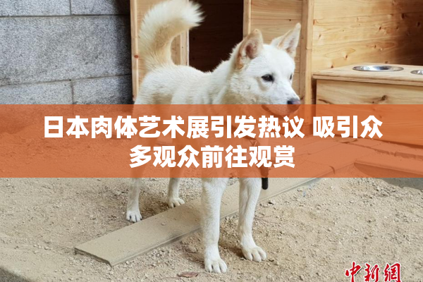 日本肉体艺术展引发热议 吸引众多观众前往观赏