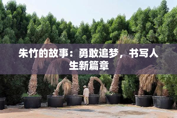 朱竹的故事：勇敢追梦，书写人生新篇章