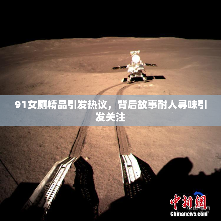 91女厕精品引发热议，背后故事耐人寻味引发关注