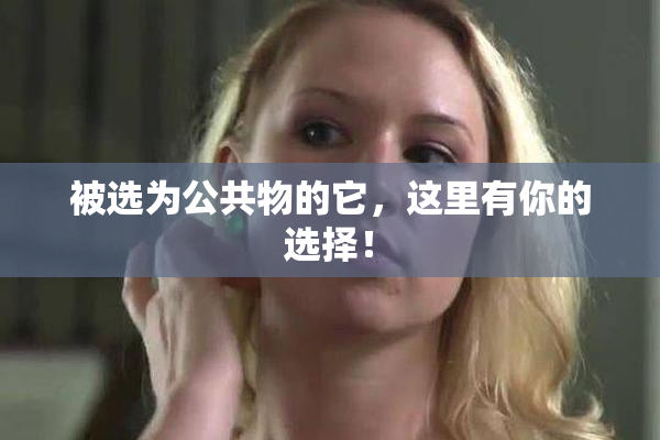 被选为公共物的它，这里有你的选择！