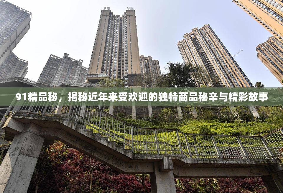 91精品秘，揭秘近年来受欢迎的独特商品秘辛与精彩故事