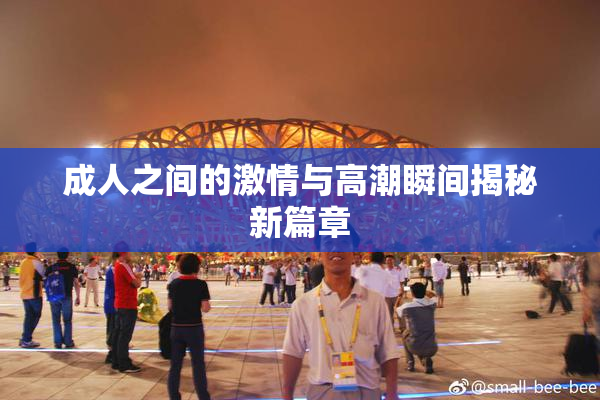 成人之间的激情与高潮瞬间揭秘新篇章