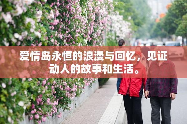 爱情岛永恒的浪漫与回忆，见证动人的故事和生活。