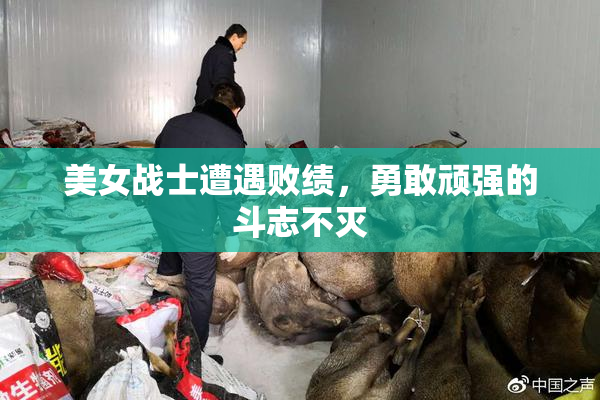 美女战士遭遇败绩，勇敢顽强的斗志不灭